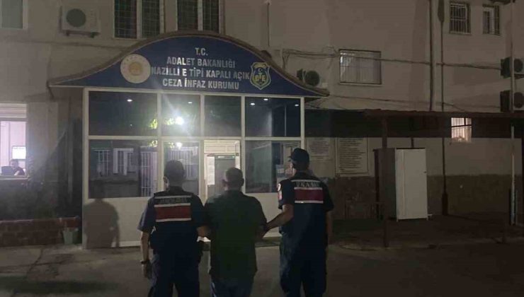 Kuyucak’ta ormanlık alanda kenevir yetiştiren şüpheli suçüstü yakalandı