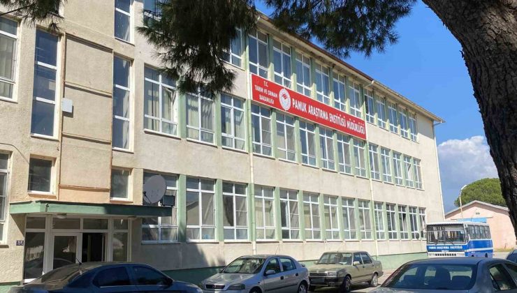 Pamuk Araştırma Enstitüsü’ndeki rüşvet iddiasına operasyon