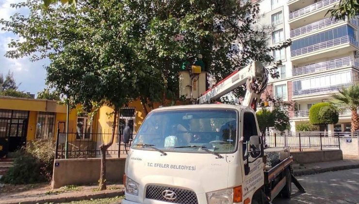 Efeler’de yeşil alanlara bakım